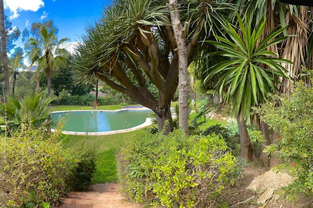 Klimatyczny Loft I Egzotyczny Basen Benalmádena Exterior foto