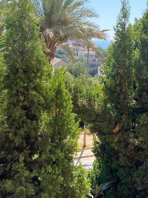 Klimatyczny Loft I Egzotyczny Basen Benalmádena Exterior foto