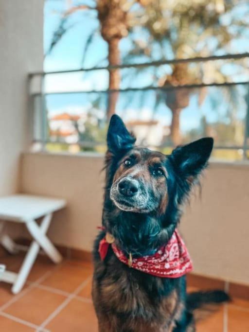 Klimatyczny Loft I Egzotyczny Basen Benalmádena Exterior foto