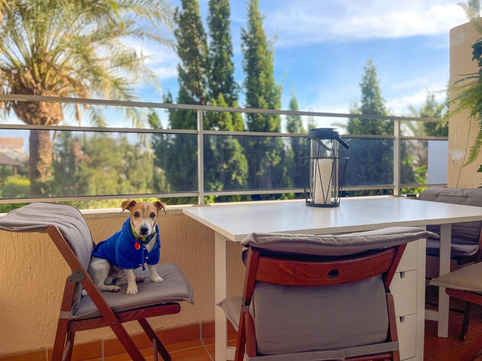 Klimatyczny Loft I Egzotyczny Basen Benalmádena Exterior foto