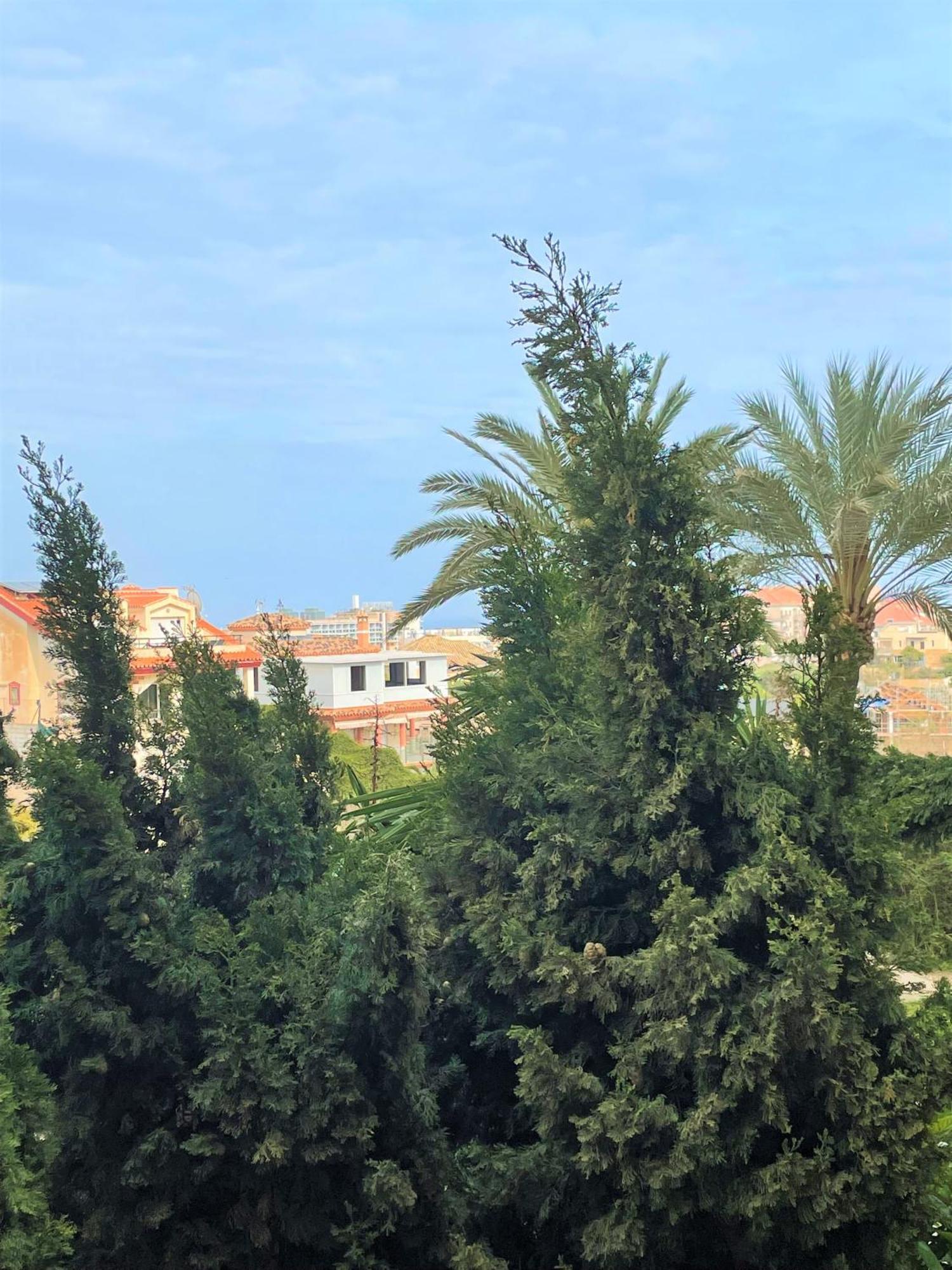 Klimatyczny Loft I Egzotyczny Basen Benalmádena Exterior foto