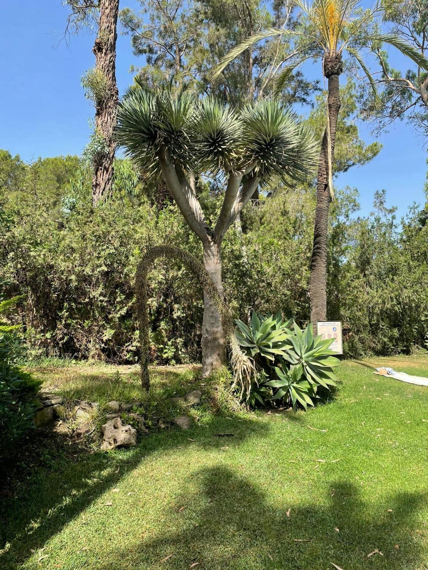 Klimatyczny Loft I Egzotyczny Basen Benalmádena Exterior foto
